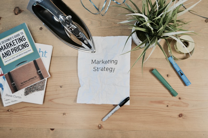 SaaS Startup